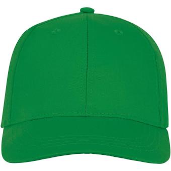 Ares 6 panel cap Fern green