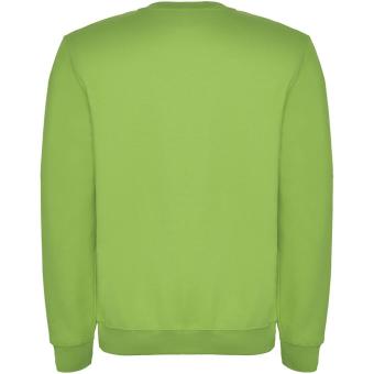 Clasica Sweatshirt mit Rundhalsausschnitt Unisex, Oasis Grün Oasis Grün | XS
