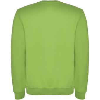 Clasica unisex crewneck sweater, oasis green Oasis green | XS