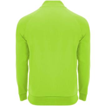Epiro long sleeve unisex quarter zip sweatshirt, fluor green Fluor green | L