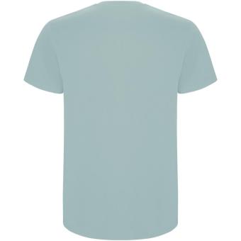 Stafford short sleeve men's t-shirt, washed blue Washed blue | S