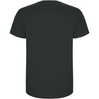 Stafford short sleeve men's t-shirt, dark lead Dark lead | L