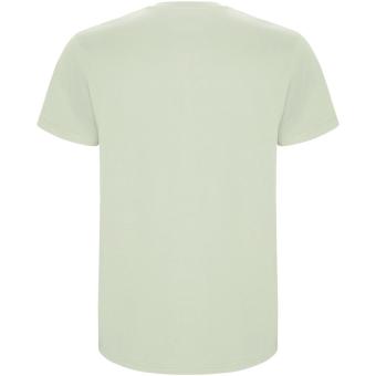 Stafford short sleeve men's t-shirt, mist green Mist green | L