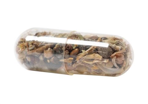 Biyok flower seed capsule Nature