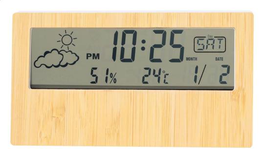 Zepra weather station Nature