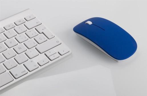 Lyster optical mouse Blue/white