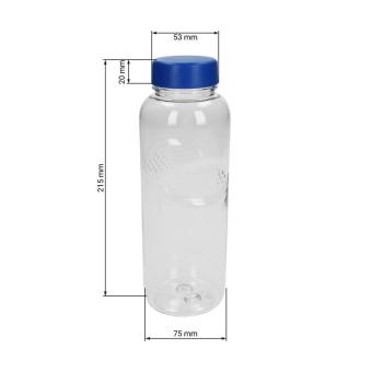 Drink bottle Carve "Refresh" clear-transparent, 0.7 l Transparent blue