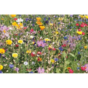 FLOMIX Mix flowerseeds disc Fawn