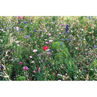 SEEDLOPEBEE Flowers mix seeds in envelope Fawn