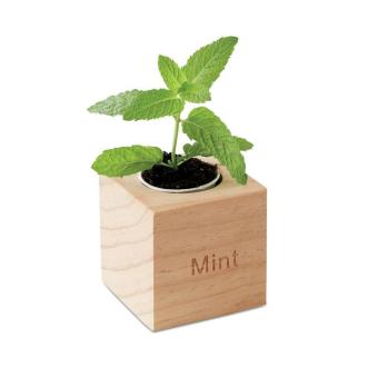 MENTA Kräuterpflanz-Set "Minze'' Holz