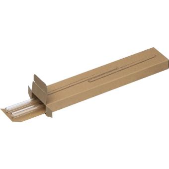 Set aus zwei Glas Trinkhalmen Transparent