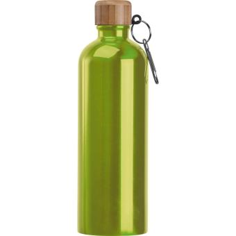 Stainless steel drinking bottle with carabiner, 750ml Apple green