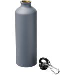 Oregon 770 ml matte water bottle with carabiner Convoy grey