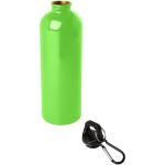 Oregon 750 ml RCS-zertifizierte, einwandige Trinkflasche aus Edelstahl mit Karabinerhaken Apfelgrün