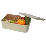 Dovi recycled plastic lunch box Fawn