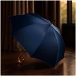 Citizen Green Drache 23" Regenschirm aus recyceltem Material Navy