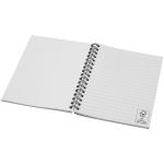 Desk-Mate® A6 farbiges Notizbuch mit Spiralbindung Hellgrün