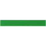 Rothko 30 cm plastic ruler Green