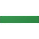 Rothko 20 cm plastic ruler Green