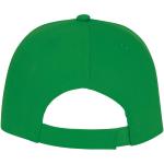 Ares 6 panel cap Fern green