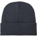 Boreas beanie with patch Graphite