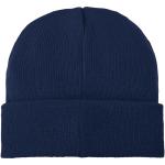 Boreas beanie with patch Navy