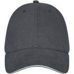 Darton 6 panel sandwich cap Graphite