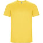 Imola short sleeve men's sports t-shirt 
