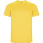 Imola short sleeve men's sports t-shirt 