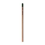 Sprout™ | Pencil Chrysanthemum red