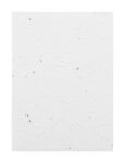 CreaNote A6 Seed custom seed paper notebook White