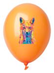 CreaBalloon balloon, pastel colour Orange