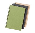 Idina notebook Green