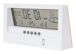 Zepra weather station Nature