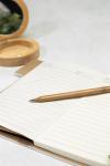Boncil bamboo pencil Nature