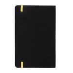 Aereus notebook set Gold