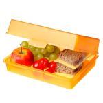 Lunch box "Picnic" Milky transparent
