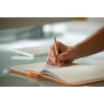 Bleistift "Nature" kurz Natur