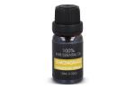 InSideOut Aroma Hanger Lemongrass oil 10 ml Light green