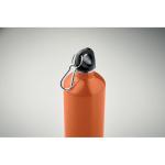REBIG MOSS Single wall bottle       750ml Orange