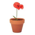 RED POPPY Terracotta-Topf Mohnblume Holz