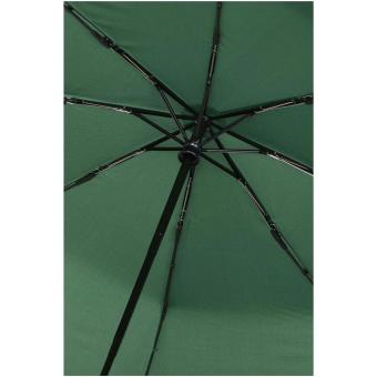 Renee 23” foldable auto open & close umbrella Green