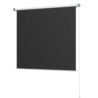 Prixton Cinema Max 100" projection screen White