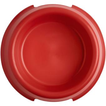 Koda dog bowl Red