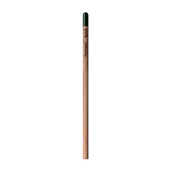 Sprout™ | Pencil Chrysanthemum red