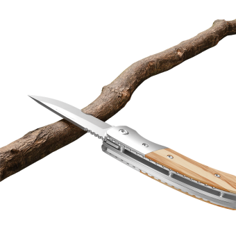 RICHARTZ® LEO picknick olive Silver