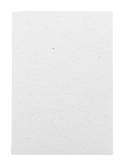 CreaNote A5 Seed custom seed paper notebook White