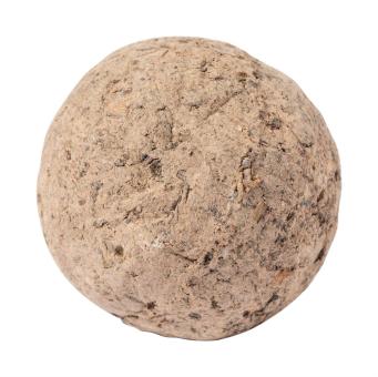 Mussox seed ball Nature