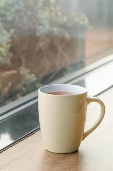 Gaia Becher Weiß