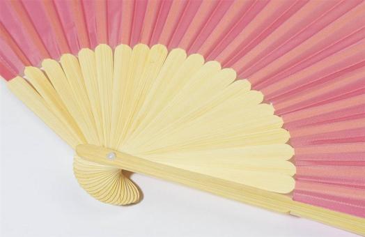 Repper RPET hand fan Pink